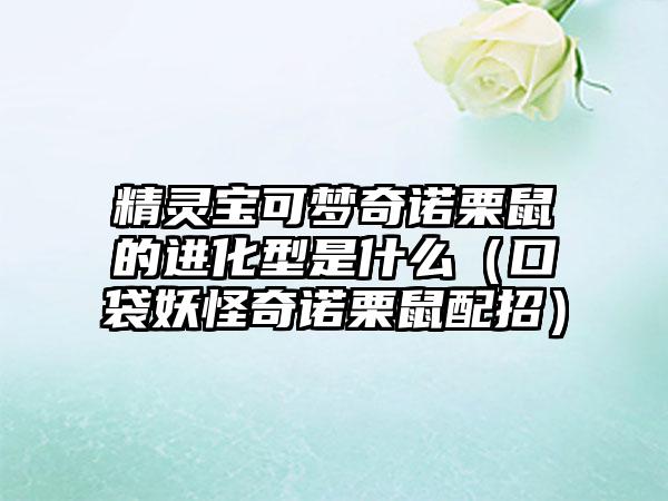 精灵宝可梦奇诺栗鼠的进化型是什么（口袋妖怪奇诺栗鼠配招）
