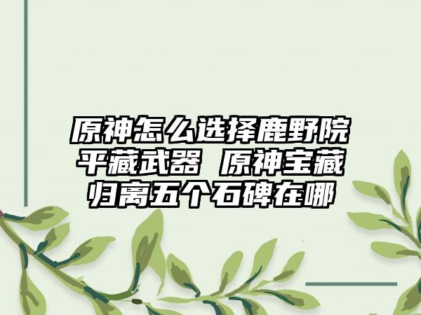 原神怎么选择鹿野院平藏武器 原神宝藏归离五个石碑在哪