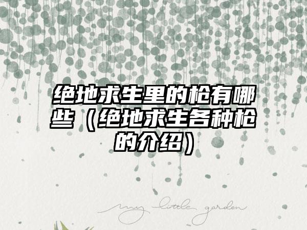 绝地求生里的枪有哪些（绝地求生各种枪的介绍）