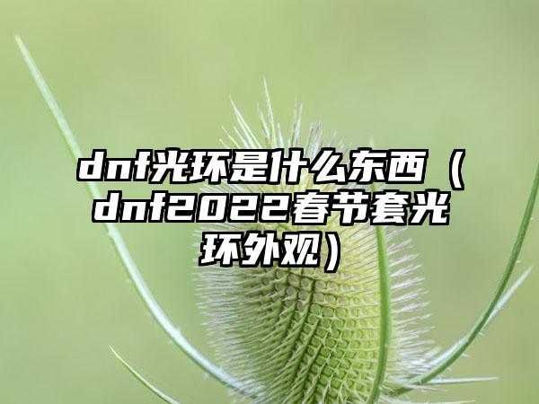 dnf光环是什么东西（dnf2022春节套光环外观）
