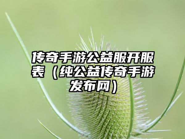 传奇手游公益服开服表（纯公益传奇手游发布网）