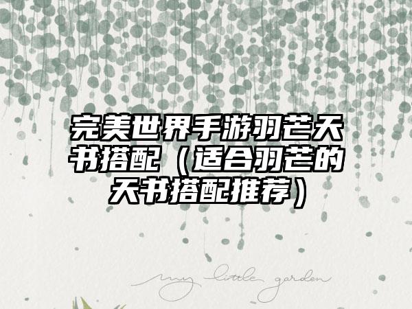 完美世界手游羽芒天书搭配（适合羽芒的天书搭配推荐）