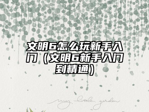 文明6怎么玩新手入门（文明6新手入门到精通）