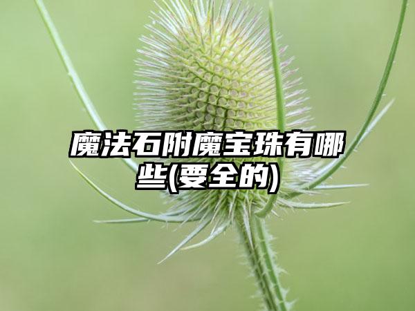 魔法石附魔宝珠有哪些(要全的)