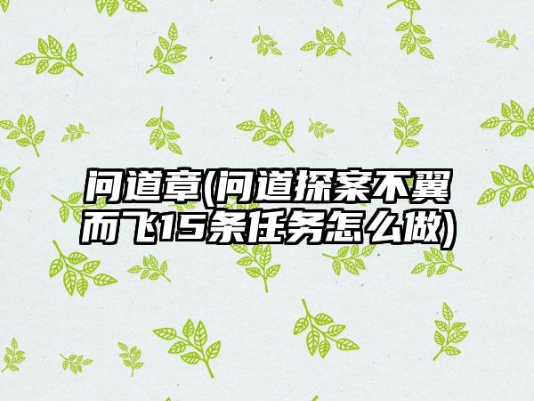 问道章(问道探案不翼而飞15条任务怎么做)