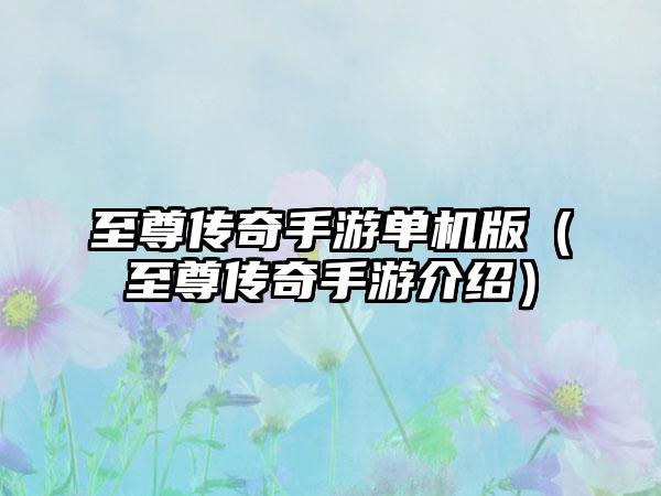 至尊传奇手游单机版（至尊传奇手游介绍）