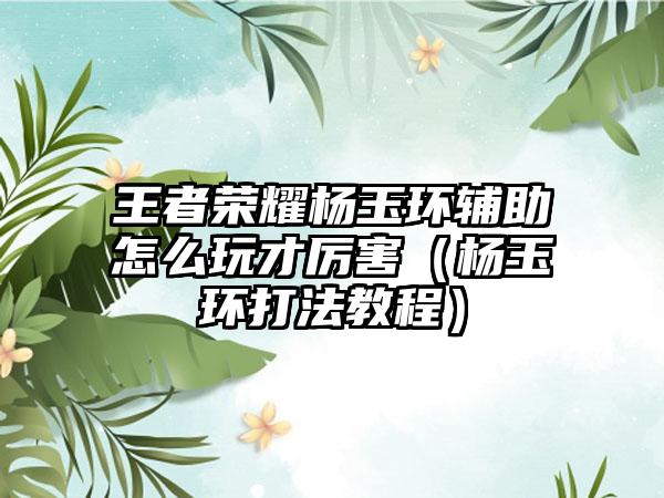 王者荣耀杨玉环辅助怎么玩才厉害（杨玉环打法教程）