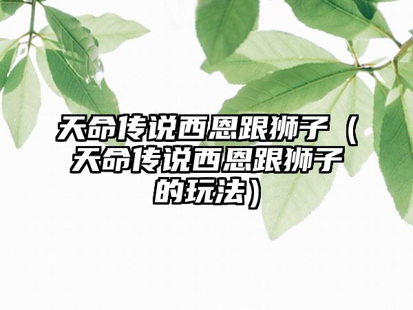 天命传说西恩跟狮子（天命传说西恩跟狮子的玩法）