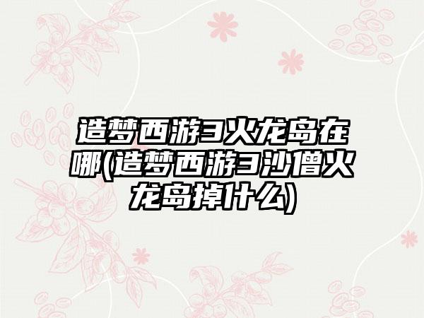 造梦西游3火龙岛在哪(造梦西游3沙僧火龙岛掉什么)