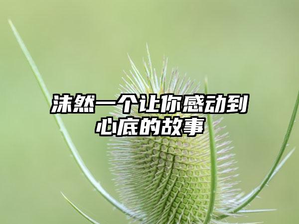 沫然一个让你感动到心底的故事