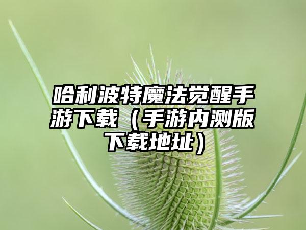 哈利波特魔法觉醒手游（手游内测版地址）