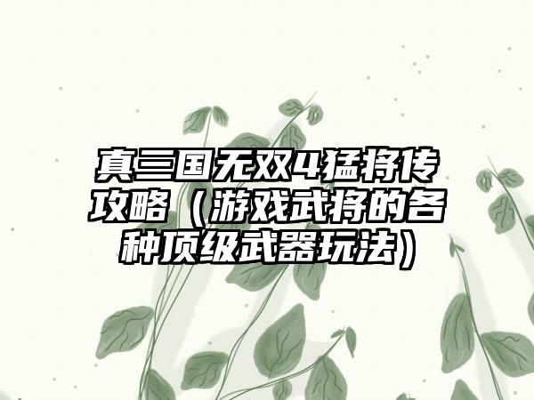 真三国无双4猛将传攻略（游戏武将的各种顶级武器玩法）