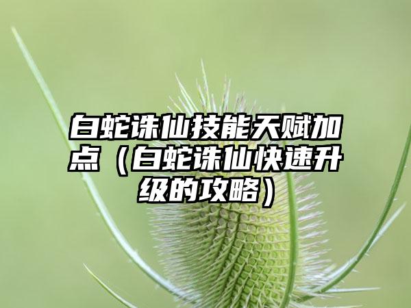 白蛇诛仙技能天赋加点（白蛇诛仙快速升级的攻略）