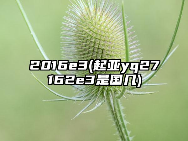 2016e3(起亚yq27162e3是国几)