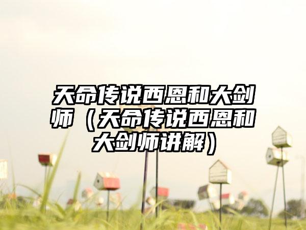 天命传说西恩和大剑师（天命传说西恩和大剑师讲解）