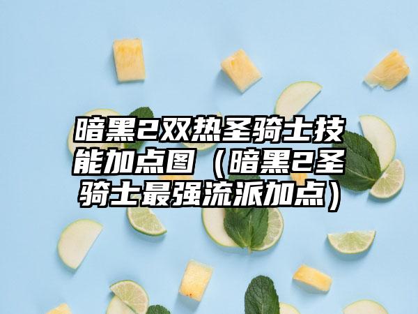 暗黑2双热圣骑士技能加点图（暗黑2圣骑士最强流派加点）