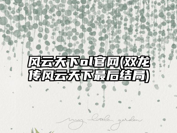 风云天下ol(双龙传风云天下最后结局)