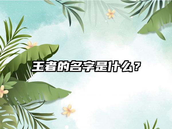 王者的名字是什么？