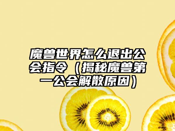 魔兽世界怎么退出公会指令（揭秘魔兽第一公会解散原因）