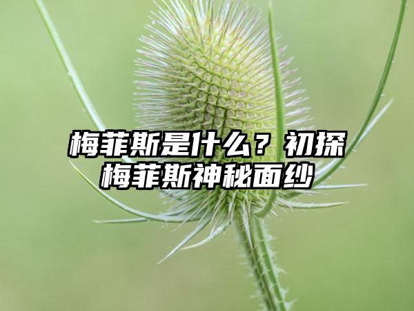 梅菲斯是什么？初探梅菲斯神秘面纱