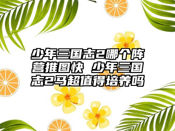 少年三国志2哪个阵营推图快 少年三国志2马超值得培养吗