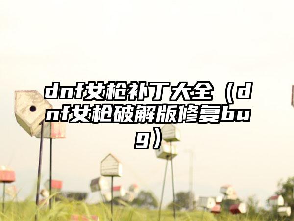 dnf女枪补丁大全（dnf女枪破解版修复bug）