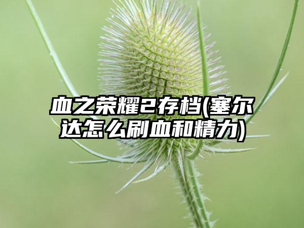 血之荣耀2存档(塞尔达怎么刷血和精力)