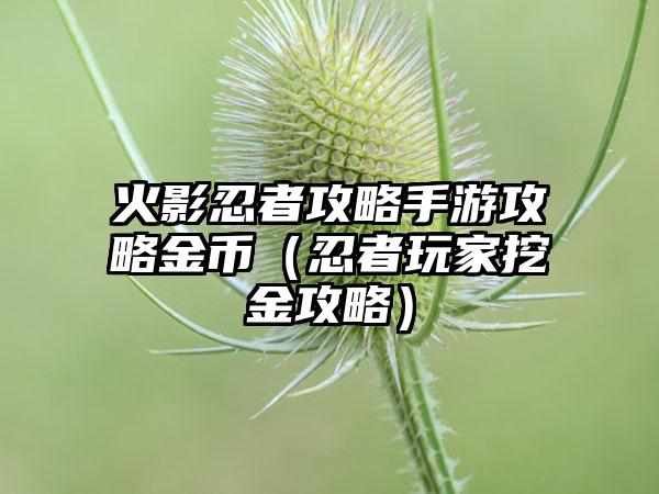 火影忍者攻略手游攻略金币（忍者玩家挖金攻略）