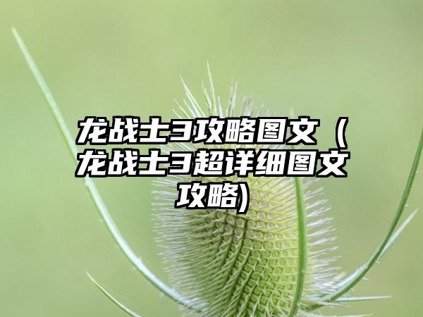 龙战士3攻略图文（龙战士3超详细图文攻略)