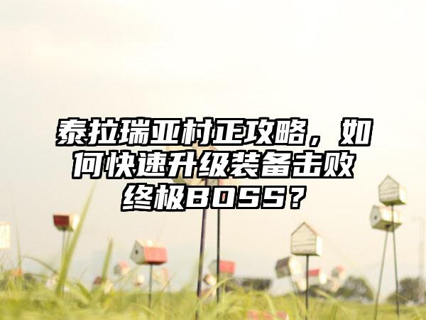 泰拉瑞亚村正攻略，如何快速升级装备击败终极BOSS？