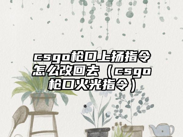 csgo枪口上扬指令怎么改回去（csgo枪口火光指令）