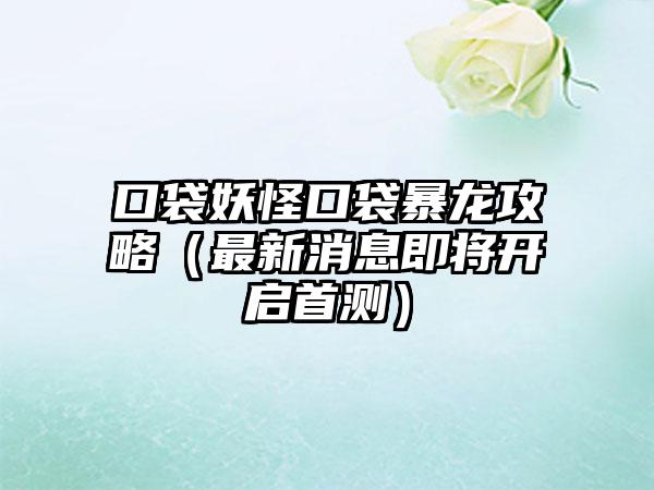 口袋妖怪口袋暴龙攻略（最新消息即将开启首测）