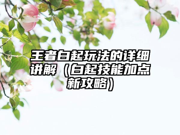王者白起玩法的详细讲解（白起技能加点新攻略）