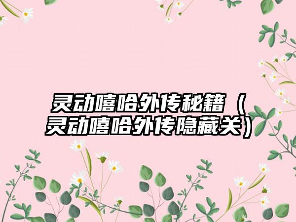 灵动嘻哈外传秘籍（灵动嘻哈外传隐藏关）