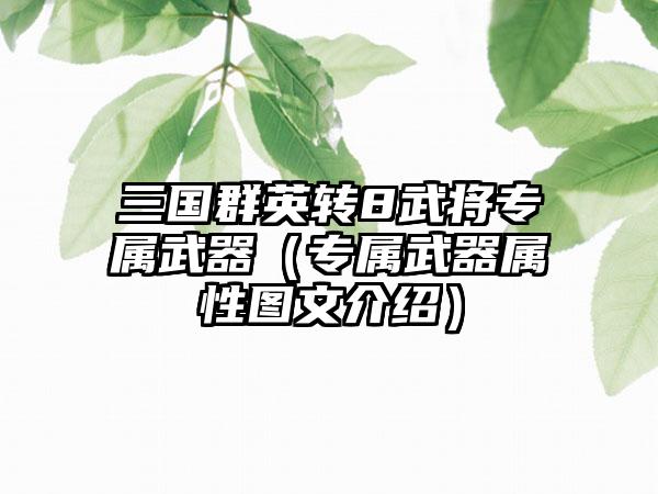 三国群英转8武将专属武器（专属武器属性图文介绍）