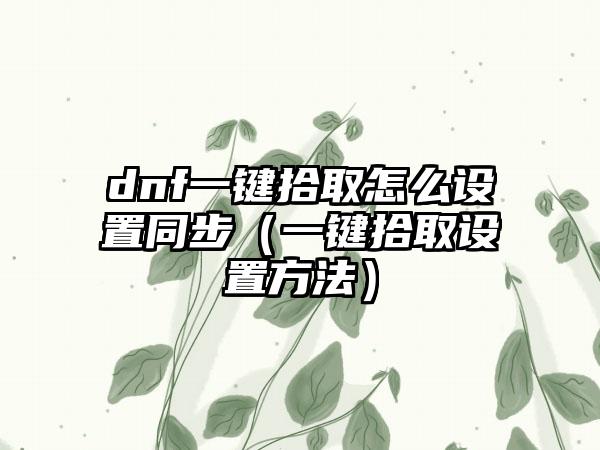 dnf一键拾取怎么设置同步（一键拾取设置方法）