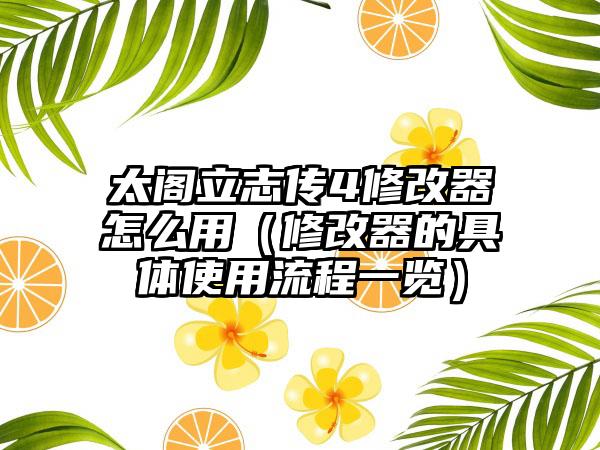 太阁立志传4修改器怎么用（修改器的具体使用流程一览）