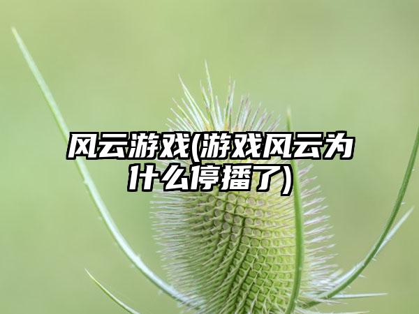 风云游戏(游戏风云为什么停播了)