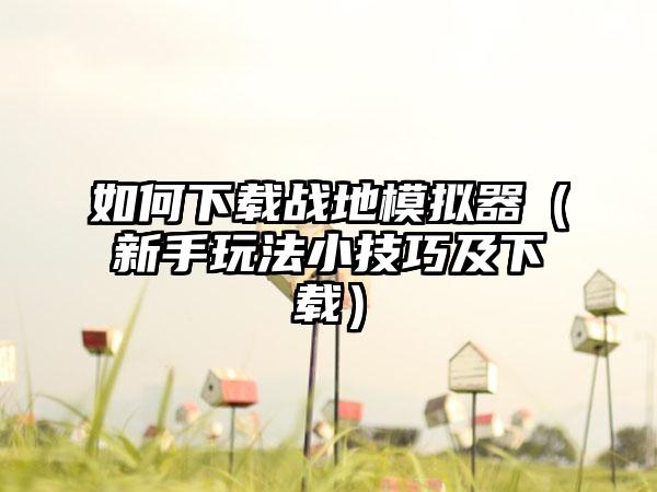 如何战地模拟器（新手玩法小技巧及）