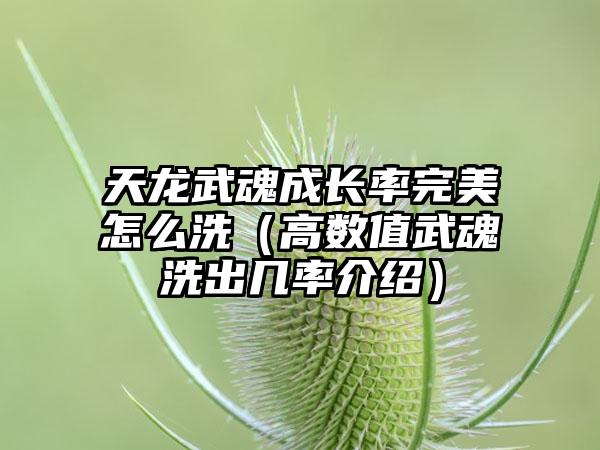 天龙武魂成长率完美怎么洗（高数值武魂洗出几率介绍）