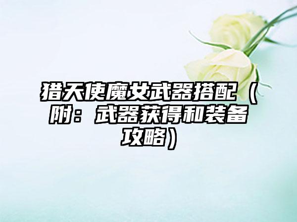 猎天使魔女武器搭配（附：武器获得和装备攻略）