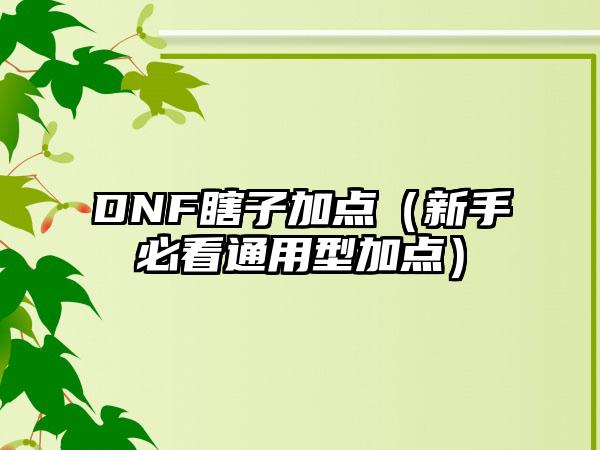 DNF瞎子加点（新手必看通用型加点）