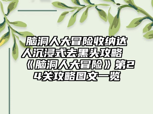 脑洞人大冒险收纳达人沉浸式去黑头攻略《脑洞人大冒险》第24关攻略图文一览