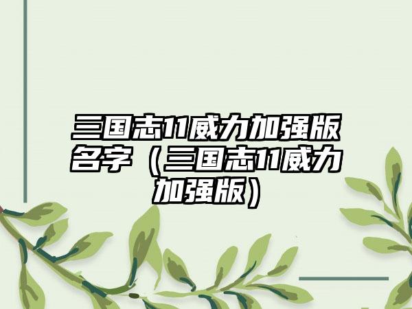 三国志11威力加强版名字（三国志11威力加强版）