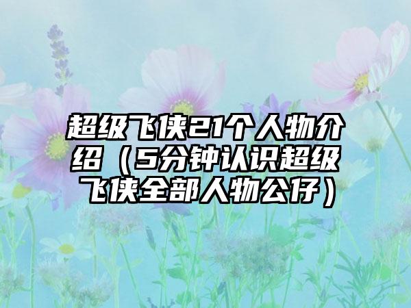 超级飞侠21个人物介绍（5分钟认识超级飞侠全部人物公仔）