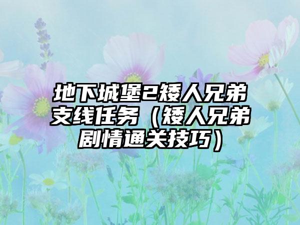 地下城堡2矮人兄弟支线任务（矮人兄弟剧情通关技巧）