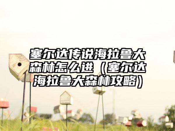 塞尔达传说海拉鲁大森林怎么进（塞尔达海拉鲁大森林攻略）