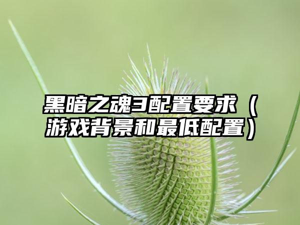 黑暗之魂3配置要求（游戏背景和最低配置）
