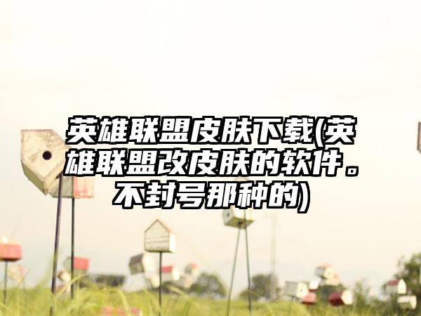 英雄联盟皮肤(英雄联盟改皮肤的软件。不封号那种的)