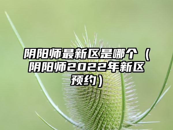 阴阳师最新区是哪个（阴阳师2022年新区预约）